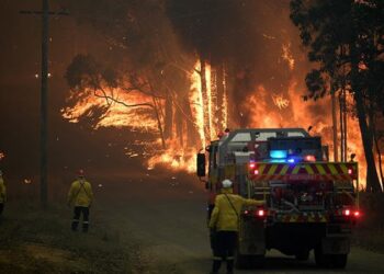 Australia, cuprinsă de un val de căldură