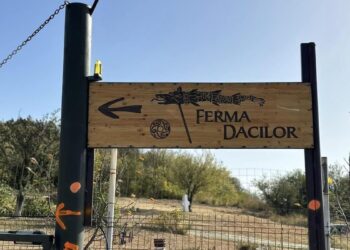 Primul mesaj public lansat de Ferma Dacilor după tragedie: „A ars de sus în jos. Nu ne ies calculele, ne dau cu virgulă explicațiile” 