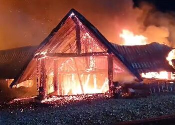 Incendiu de proporții la Ferma Dacilor din Tohani, Prahova. UPDATE -Un copil și cinci  adulți au murit