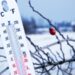 Prognoza meteo pentru luna decembrie