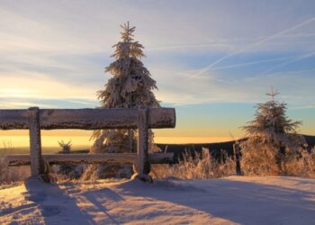 Meteorologii anunţă temperaturi mai ridicate decât cele specifice acestei perioade pentru următoarele săptămâni