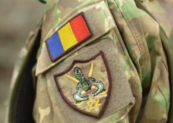 Ministrul Apărării explică de ce au fost convocați pentru 24 de ore rezerviștii din România