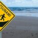 Alertă de tsunami în Japonia, după un cutremur de 7,6. Oamenii au primit ordin să fugă