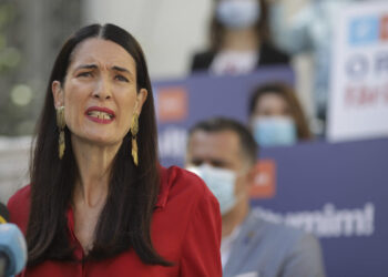 Clotilde Armand, urmărită penal