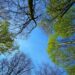 Meteorologii anunţă din nou temperaturi mai ridicate decât cele specifice în următoarea perioadă