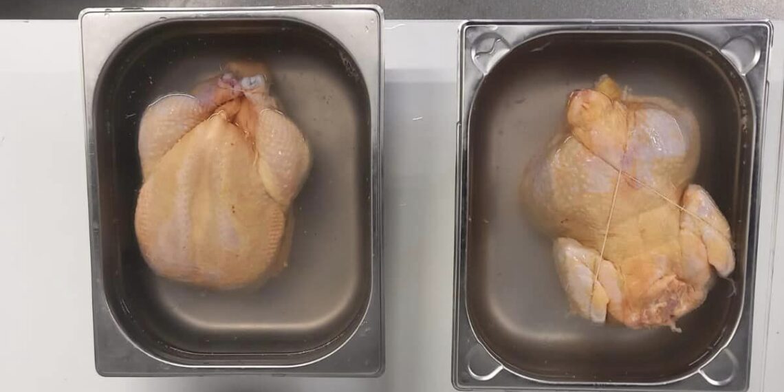 Descoperire șocantă ANPC: Pui vopsiți ca să pară mai buni și „împănați cu salmonella”