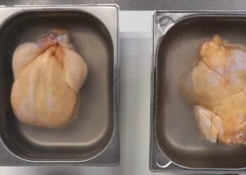 Descoperire șocantă ANPC: Pui vopsiți ca să pară mai buni și „împănați cu salmonella”