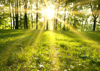 Prognoza pentru următoarele 4 săptămâni: Temperaturi mai ridicate decât cele normale