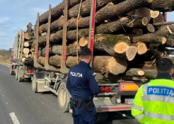 USR susține că PSD şi PNL se pregătesc să renunţe la măsura confiscării vehiculelor care transportă ilegal lemne