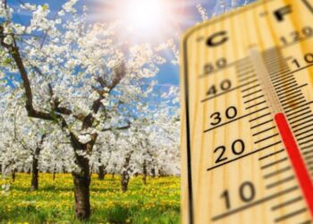 Prognoza pentru luna aprilie: temperaturile medii vor fi mai mari decât cele normale