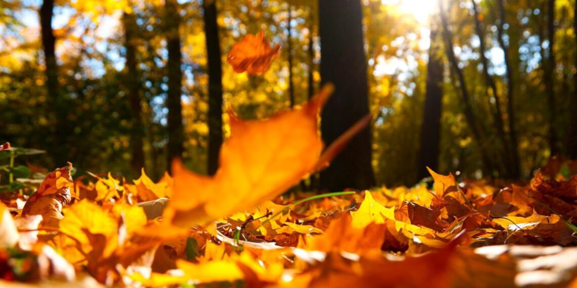 Prognoza pentru următoarele două săptămâni: toamna începe cu temperaturi de peste 30 de grade