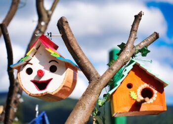Se deschide cel mai complex parc tematic din România. Unde îl pot aștepta copiii pe Moș Crăciun