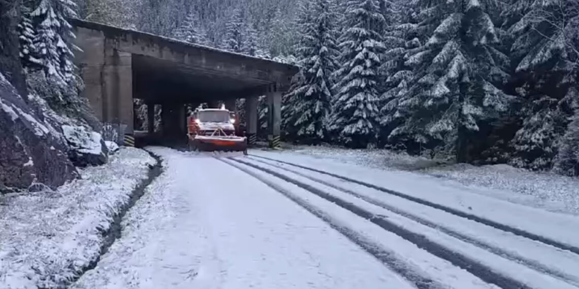 Ninge pe Transalpina, între Rânca și Obârșia Lotrului