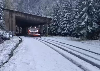 Ninge pe Transalpina, între Rânca și Obârșia Lotrului