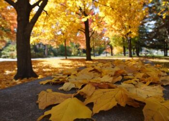 Prognoza ANM: Vremea se încălzește zilele următoare