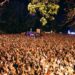 Începe Summer Well 2025 – 14 ani de muzică bună și cultură urbană