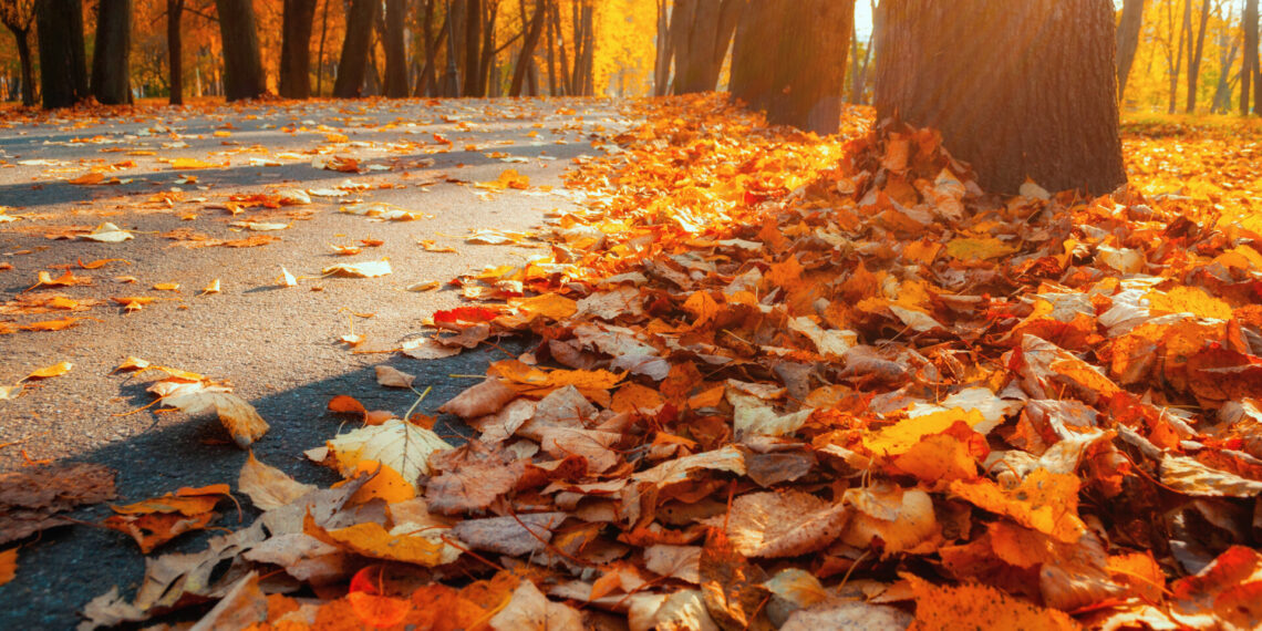 Luna noiembrie începe cu temperaturi de vară