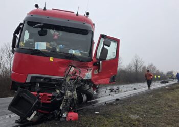 Descoperire-cheie în microbuzul implicat în accidentul din Timiș: șoferul ar fi avut cannabis în sânge