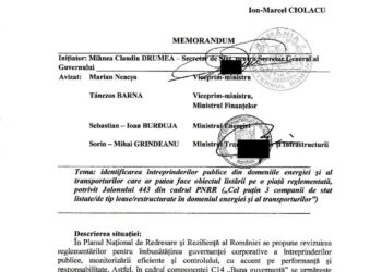 Cine vinde țara? Vicepremierul Oana Gheorghiu: Grindeanu minte! A cerut primul listarea la bursă a companiilor statului