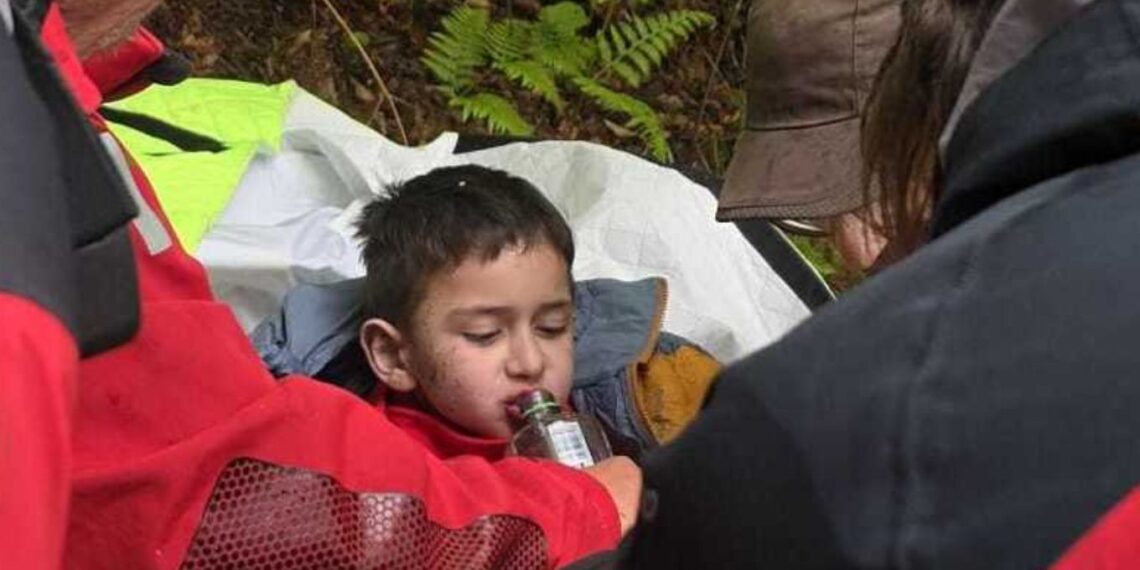 Alexandru, băiețelul găsit după două nopți în pădure, are mușcături de căpușe și pneumonie. Medicii vorbesc despre un caz rar de supraviețuire