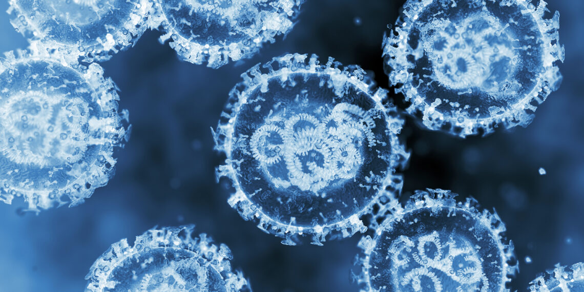Autoritățile încearcă să calmeze temerile după primul caz de hantavirus din România. INSP: „Nu are legătură cu focarul de pe nava de croazieră”