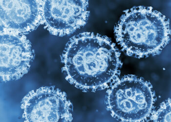 Autoritățile încearcă să calmeze temerile după primul caz de hantavirus din România. INSP: „Nu are legătură cu focarul de pe nava de croazieră”